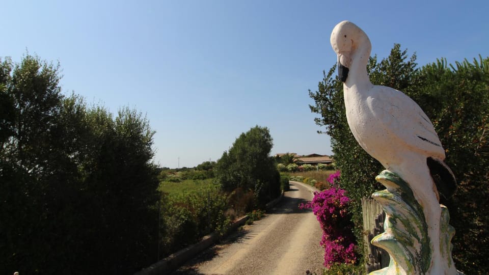Casa Vacanze Giovanna House in Sardinia