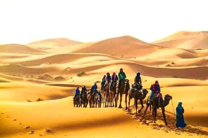 Luxury tent nomads Luxury tent in Morocco