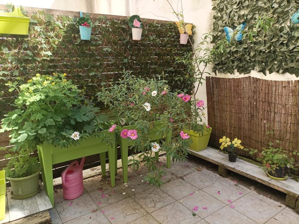 Patio, Garden, Balcony/Terrace