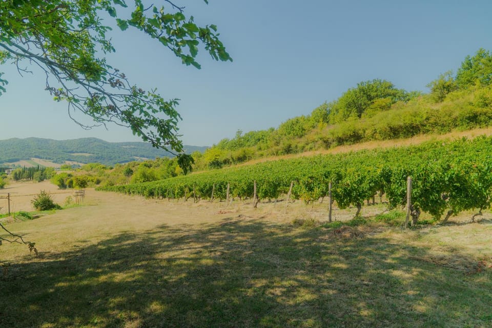 Natural landscape, Garden view
