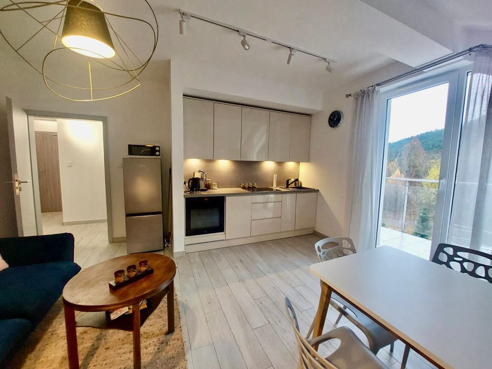 Kitchen or kitchenette, oven
