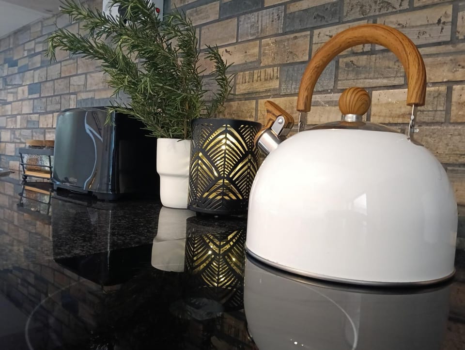 Kitchen or kitchenette, stove, toaster