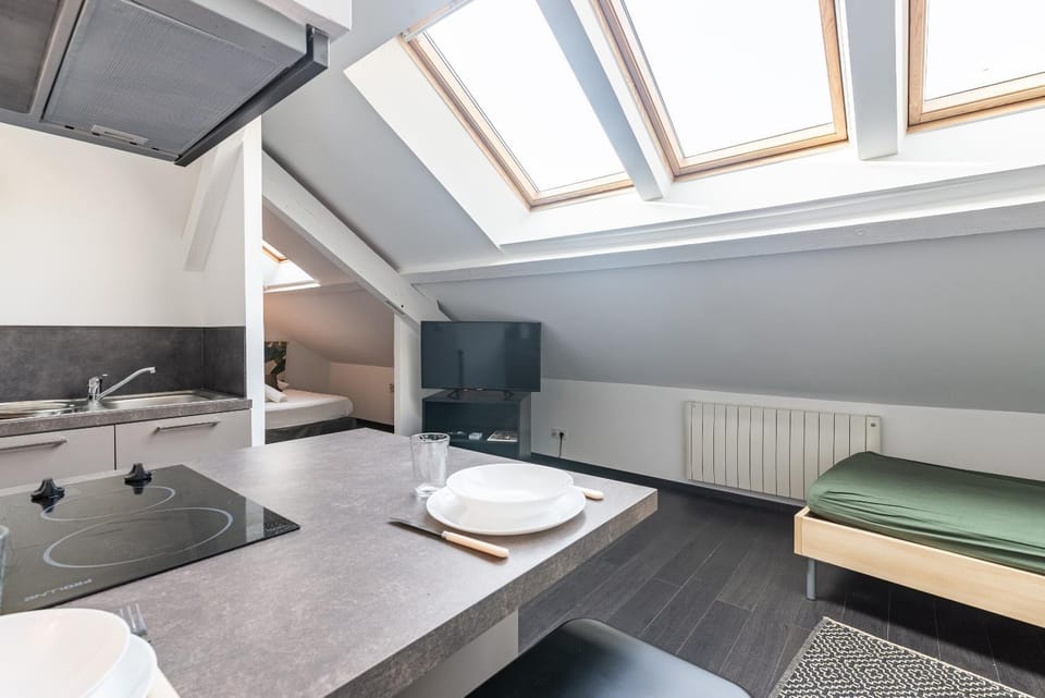 Petit Loft proche Place Darcy Apartment in Dijon
