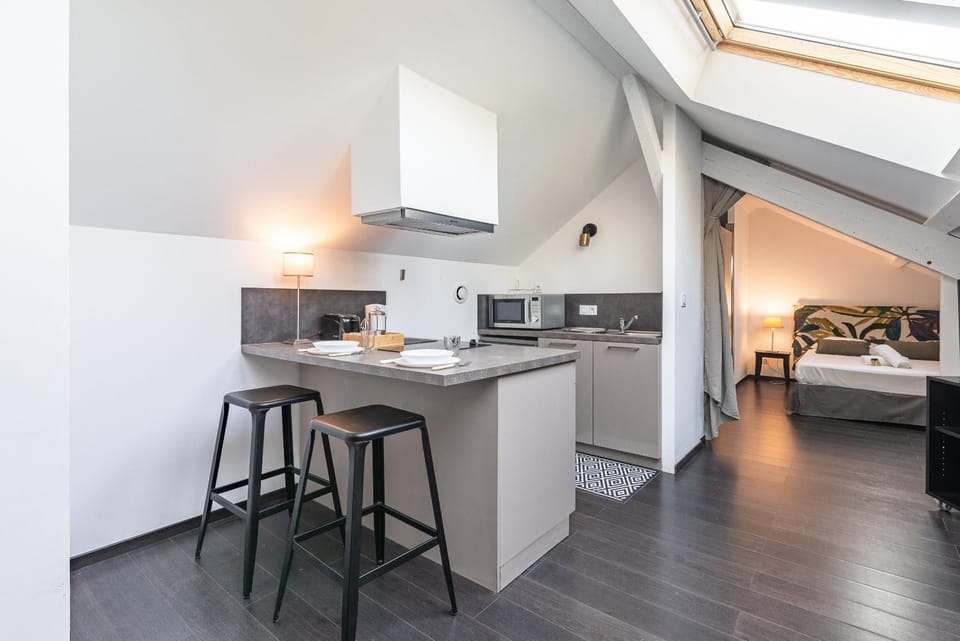 Petit Loft proche Place Darcy Apartment in Dijon
