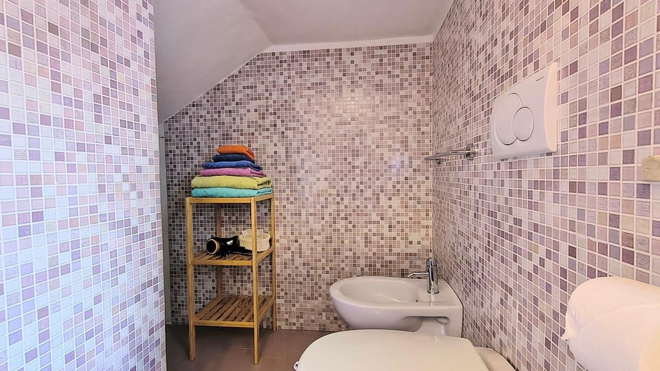 Toilet, bidet, hair dryier, towels