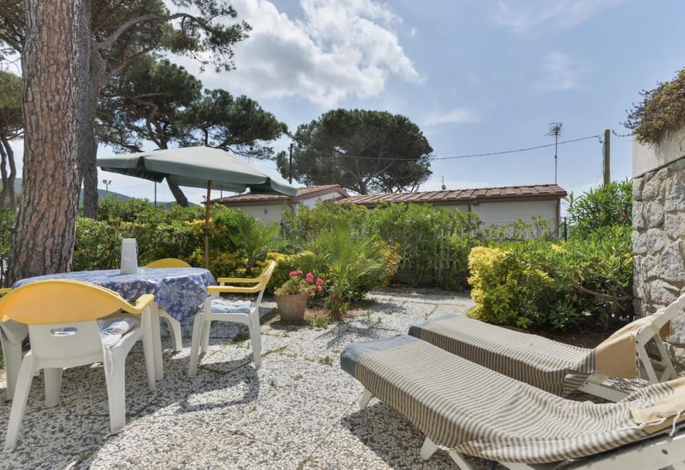 Garden, sunbed