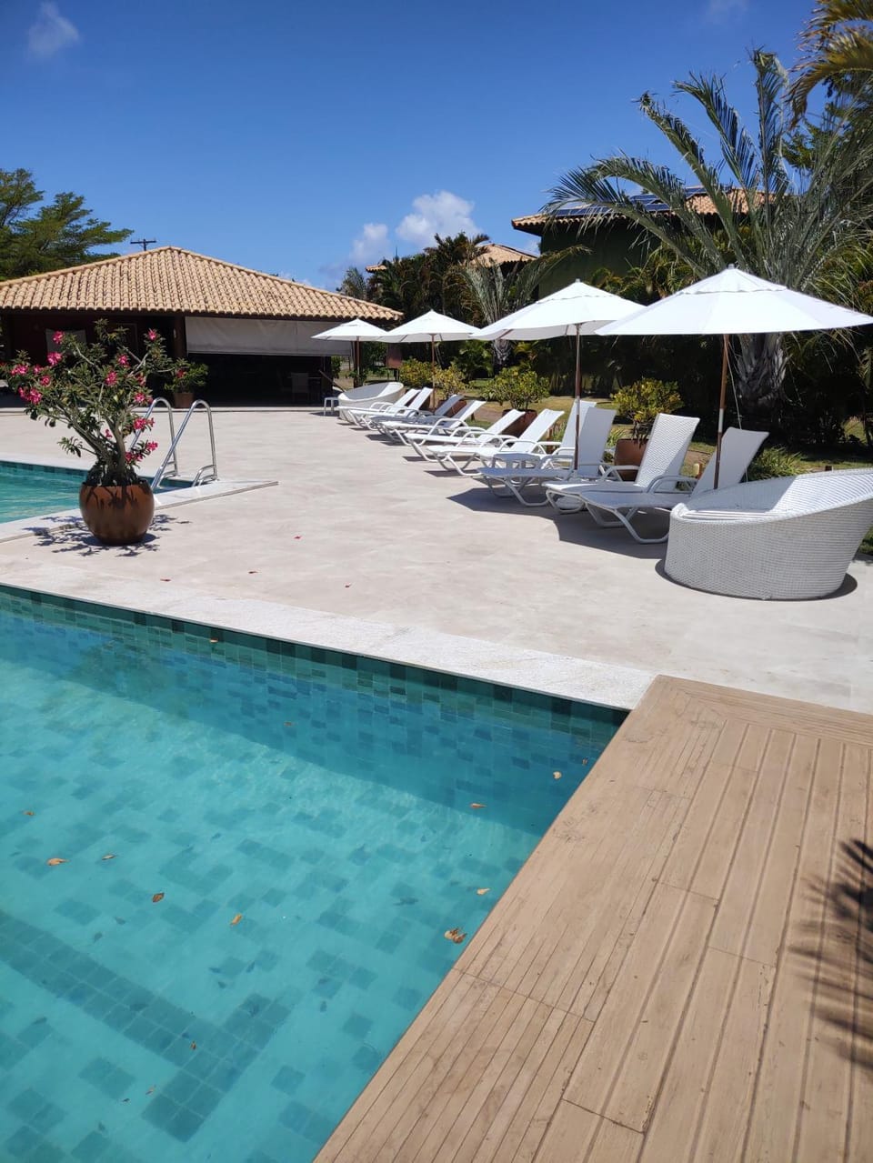 Pool view