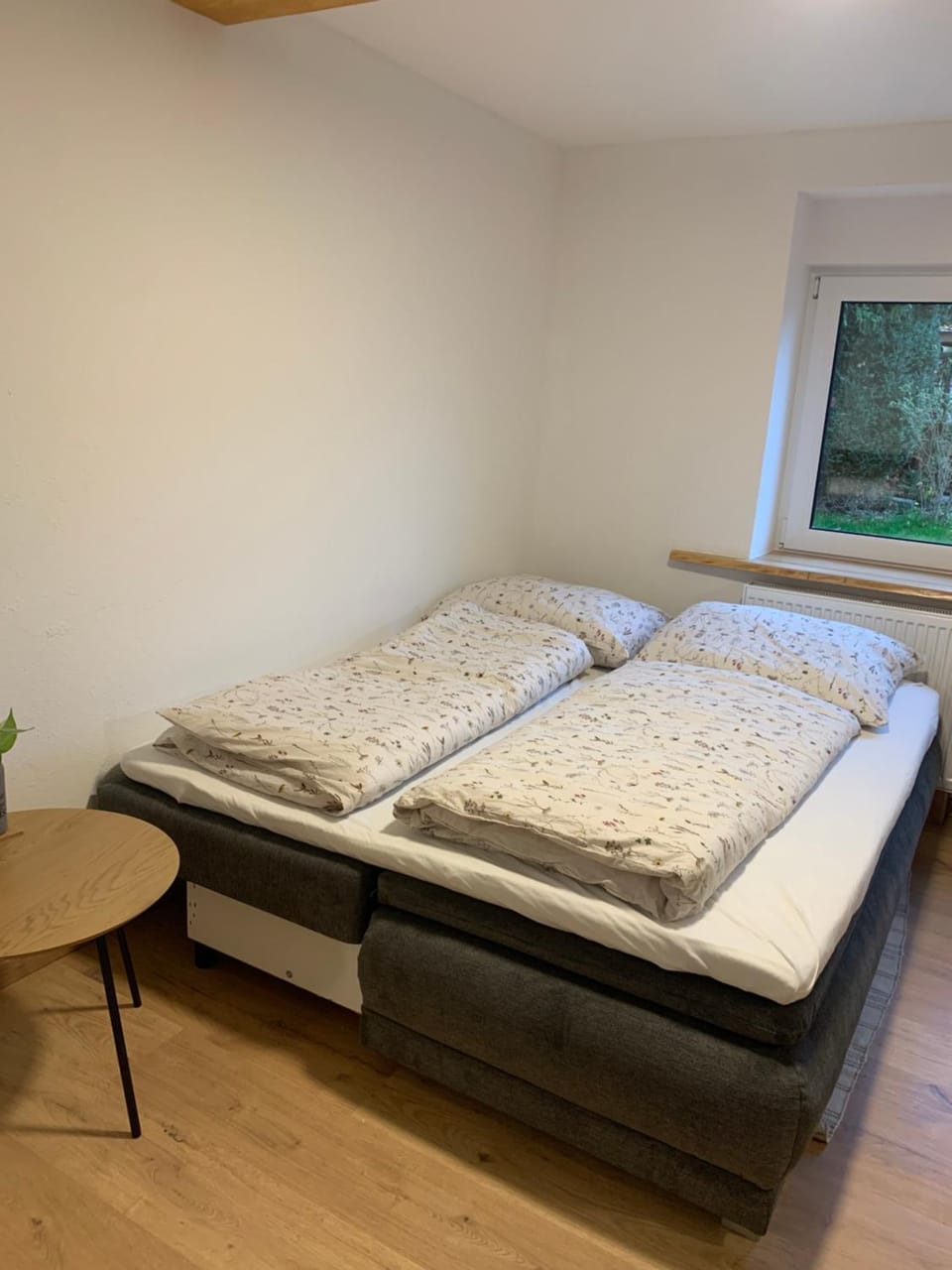 Bed, Living room, Photo of the whole room