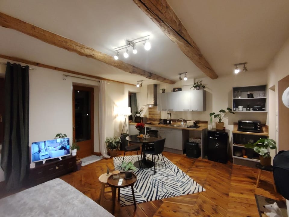 Cosy T2 Barcelo Centre Ville Apartment in Barcelonnette