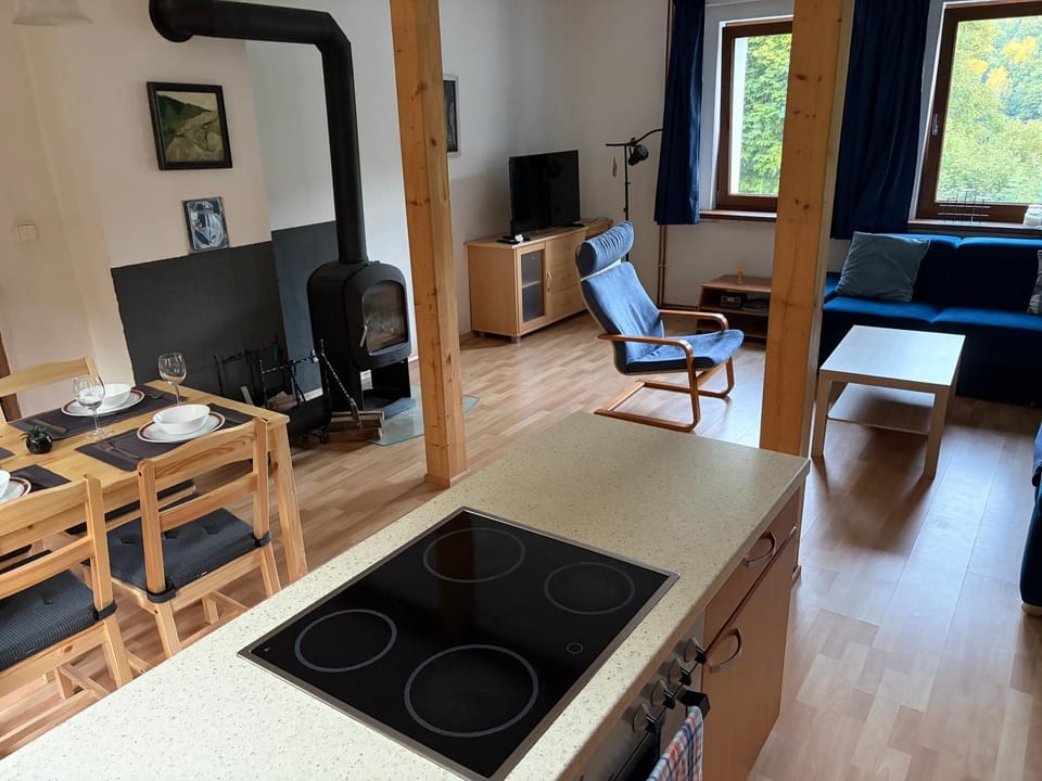 Communal lounge/ TV room, TV and multimedia, Kitchen or kitchenette, Living room, Seating area, Dining area