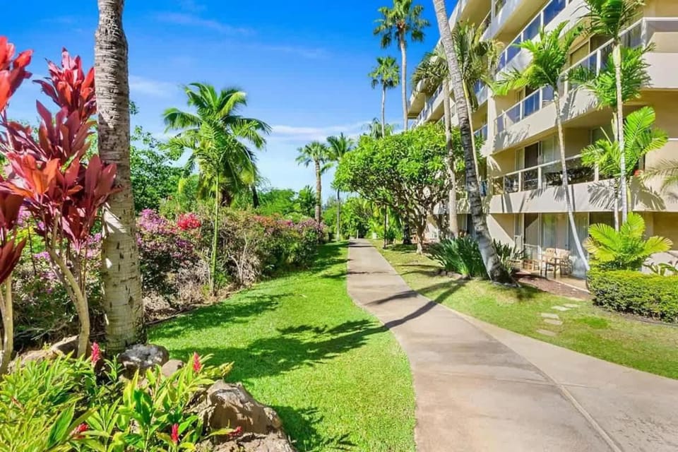 Beachfront Studio Walk to Kamaole Beach Pools House in Wailea