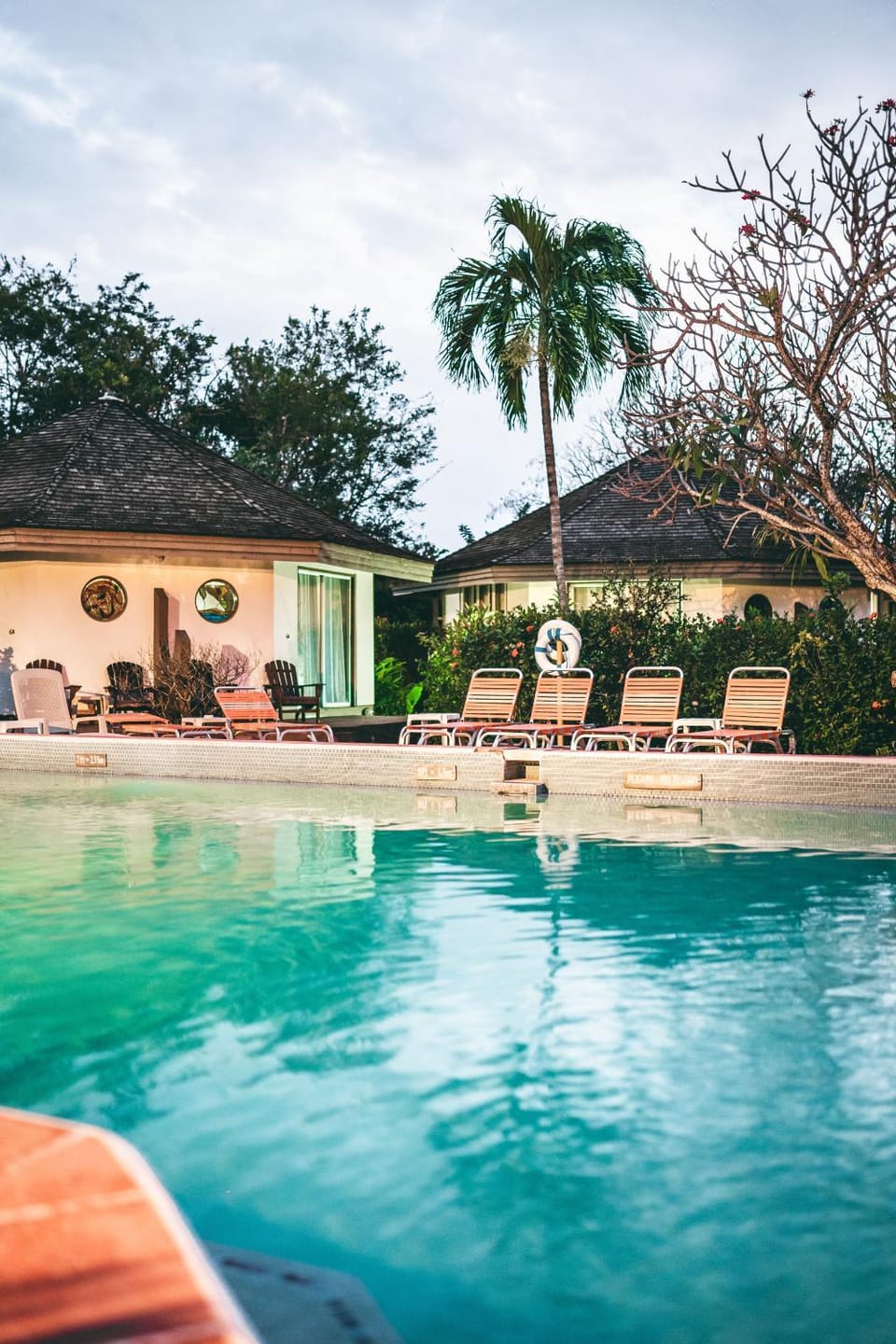 Pool view, Swimming pool, sunbed