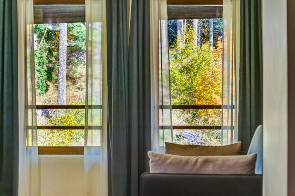 View (from property/room), Living room