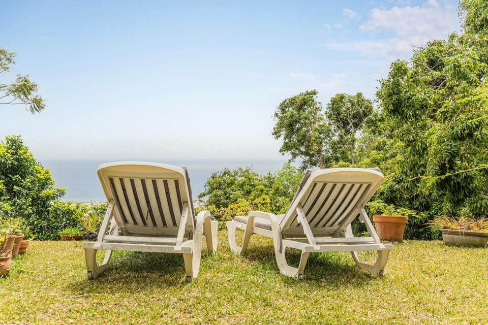 Day, Garden, Garden view, Sea view, sunbed