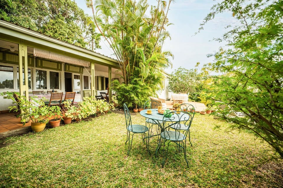 Day, Garden, Garden view