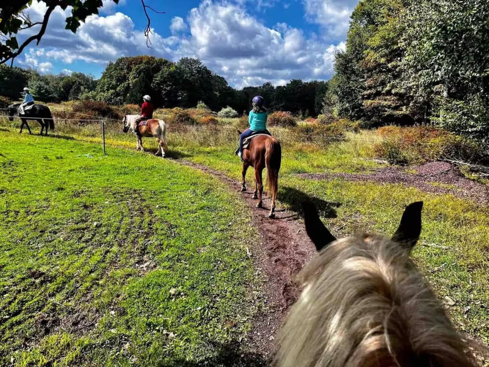 Nearby landmark, Off site, Natural landscape, Activities, Horse-riding