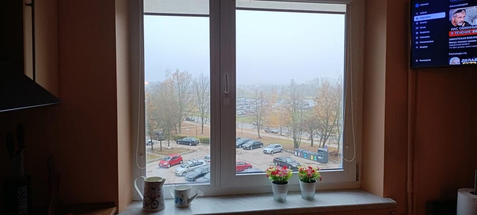 Ruola Apartment in Lithuania