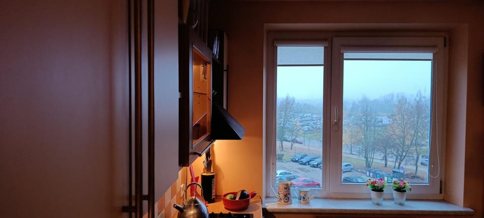 Ruola Apartment in Lithuania