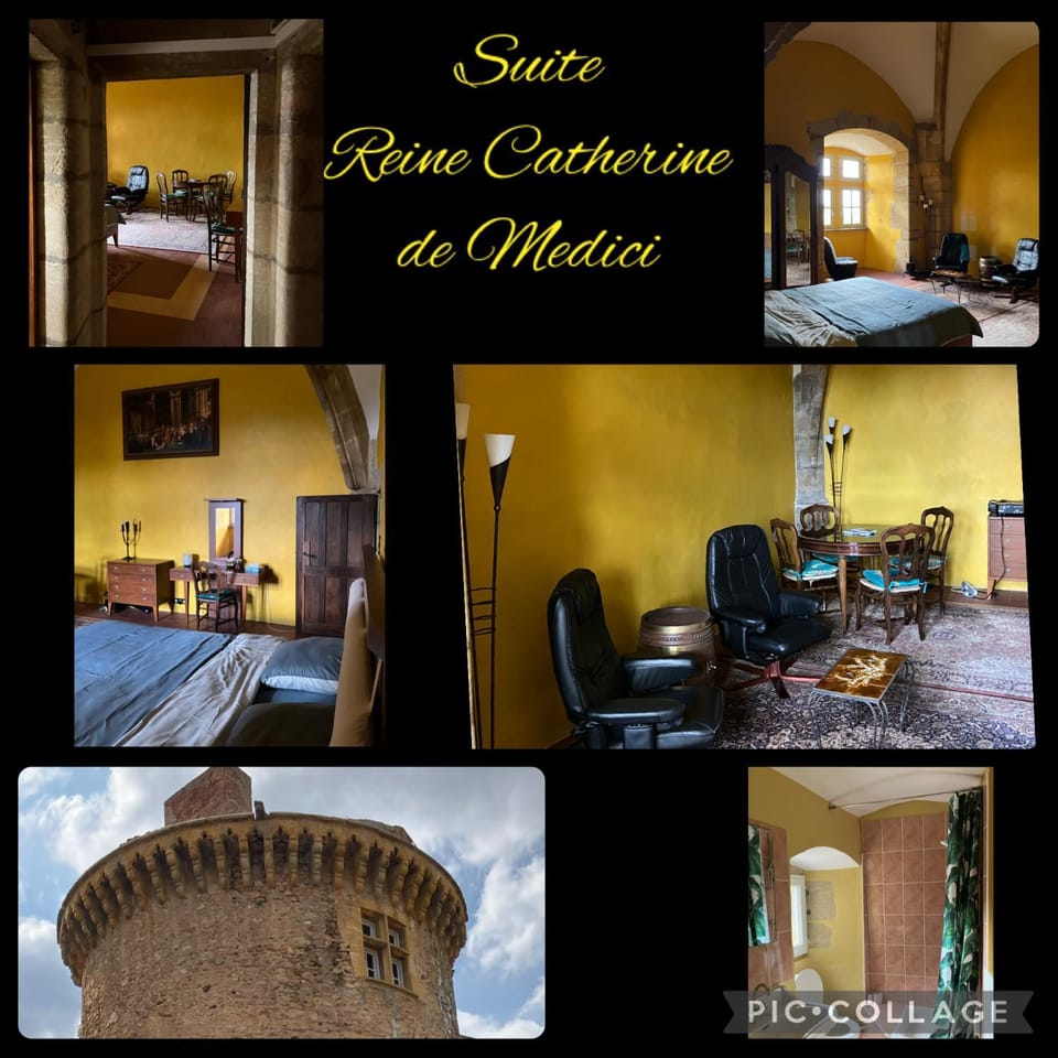 Chateau d'Albon - Maréchale d'Albon Bed and Breakfast in Auvergne-Rhône-Alpes
