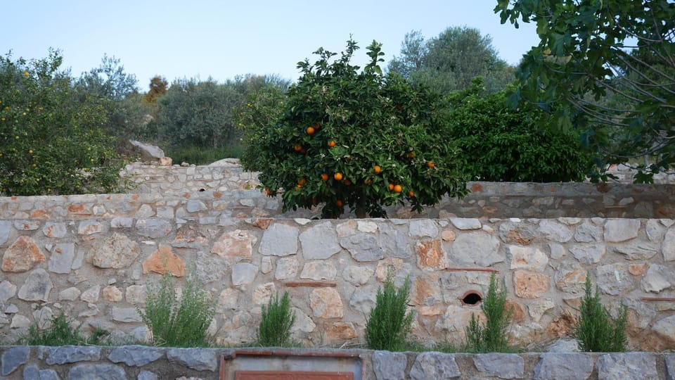 Spring, Day, Garden, Garden view