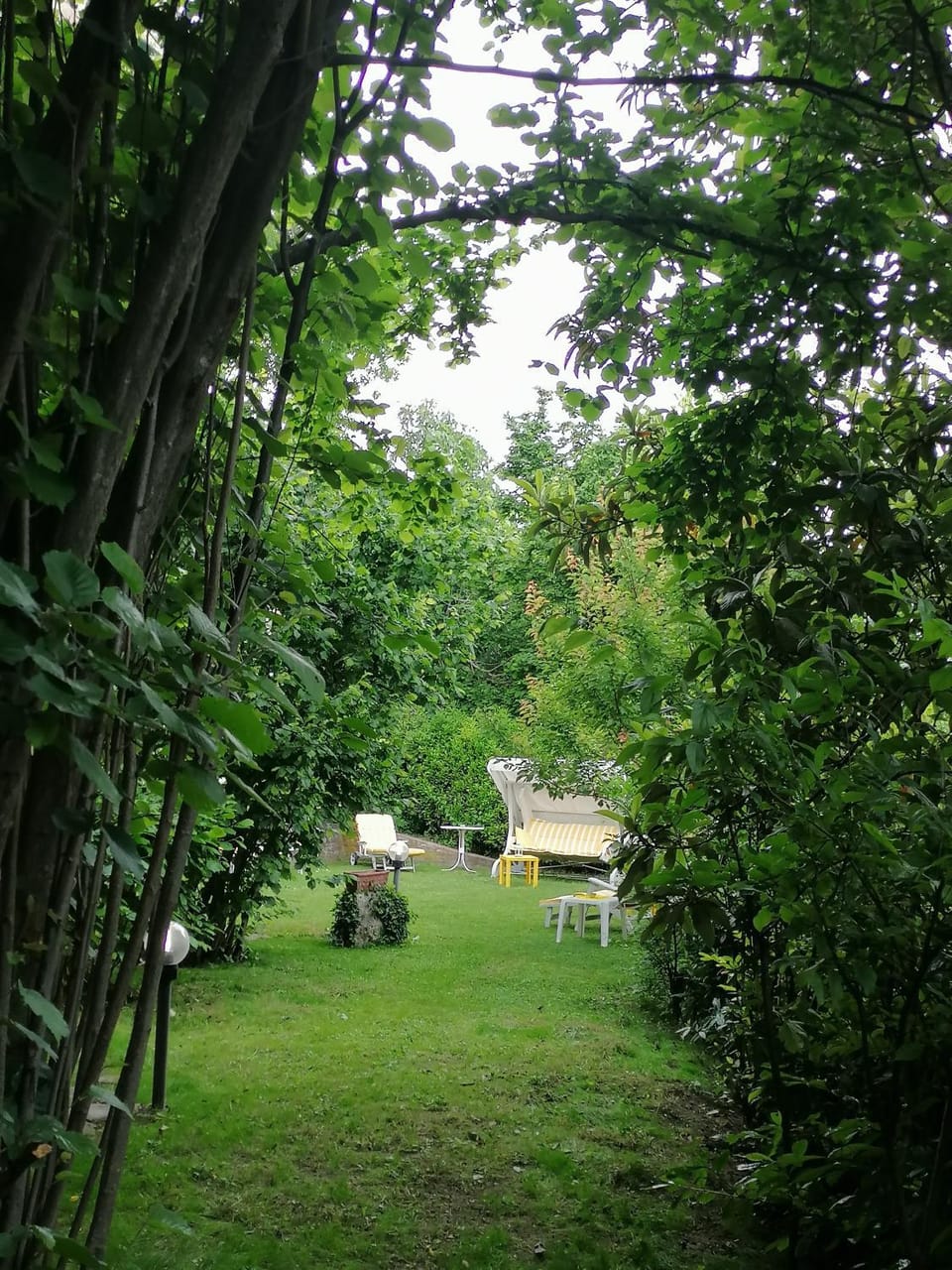 Natural landscape, Garden, Garden, Garden view
