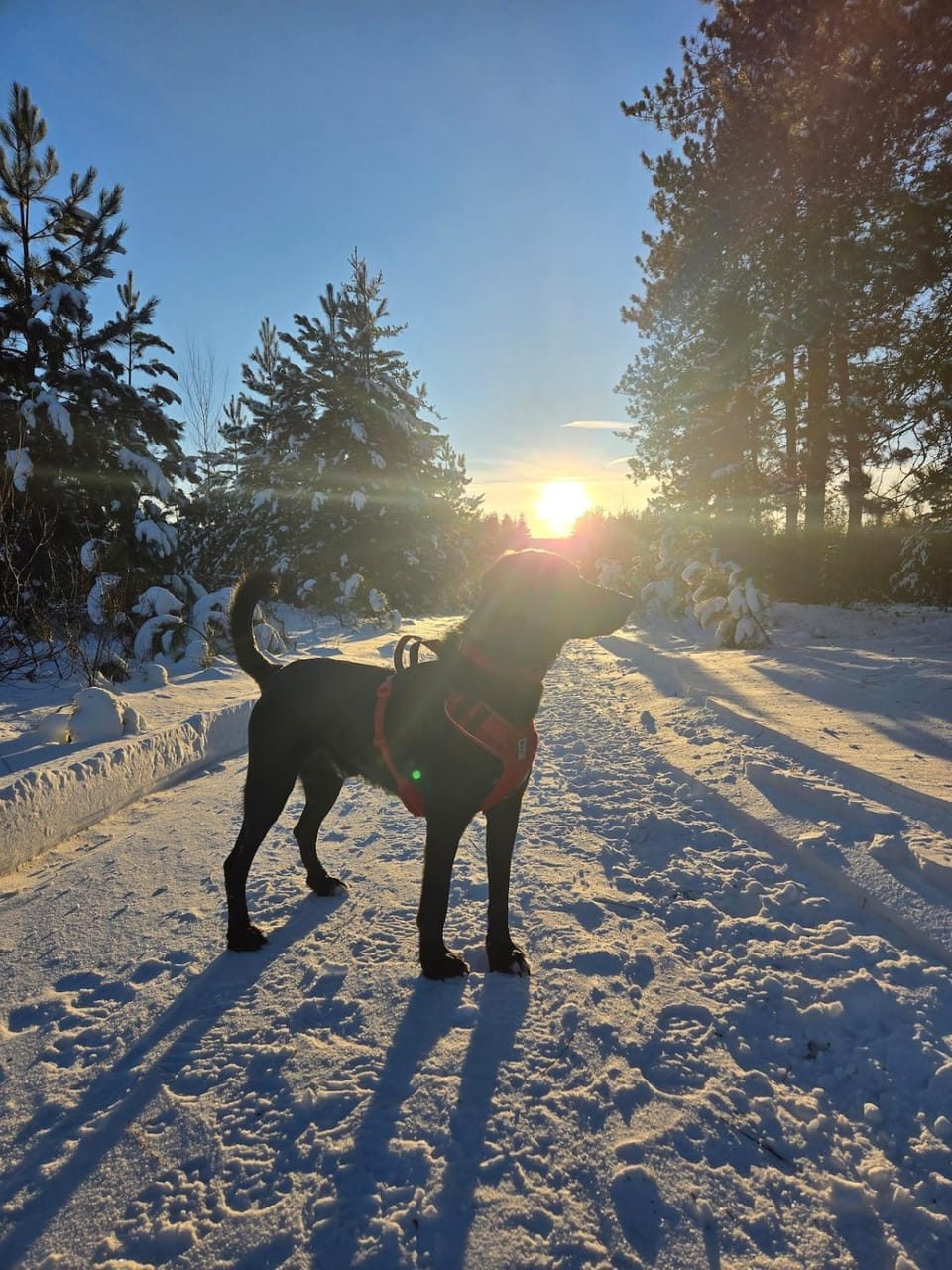Sunrise