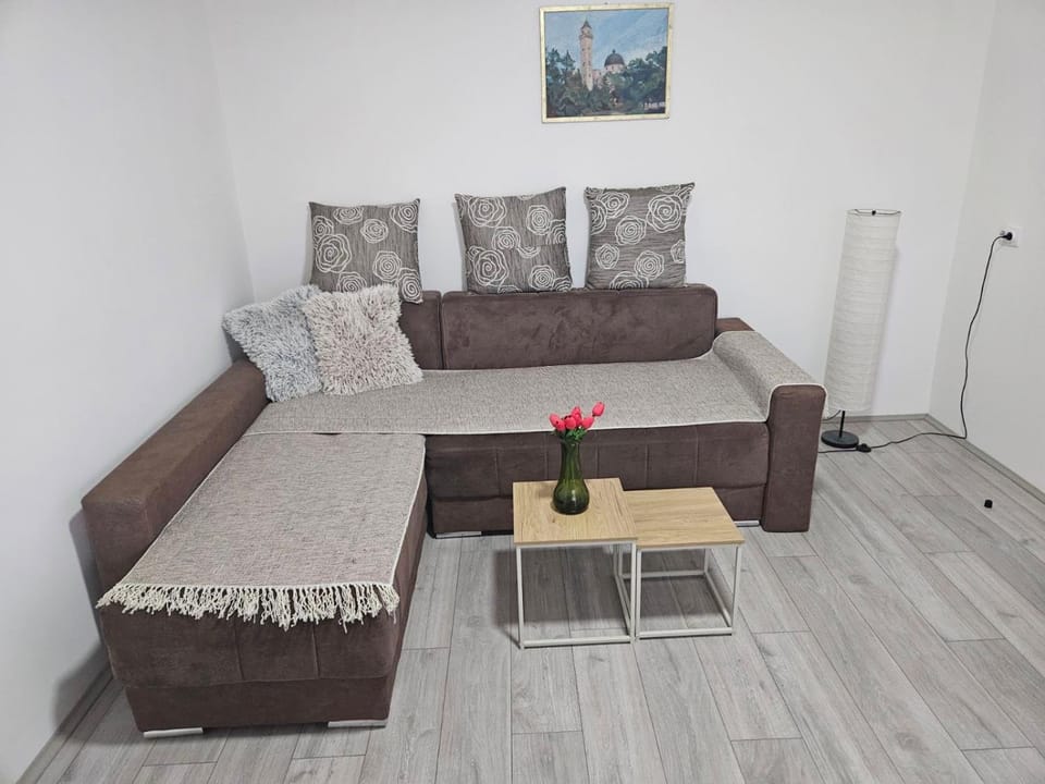 City Comfort Suite Apartment in Serbia