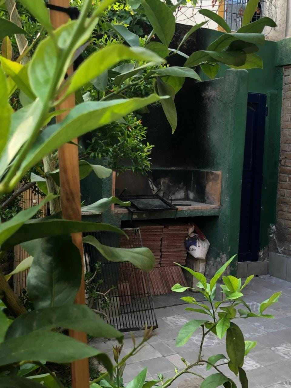 Patio, Garden