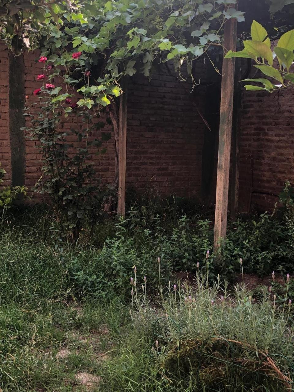 Garden, Garden view