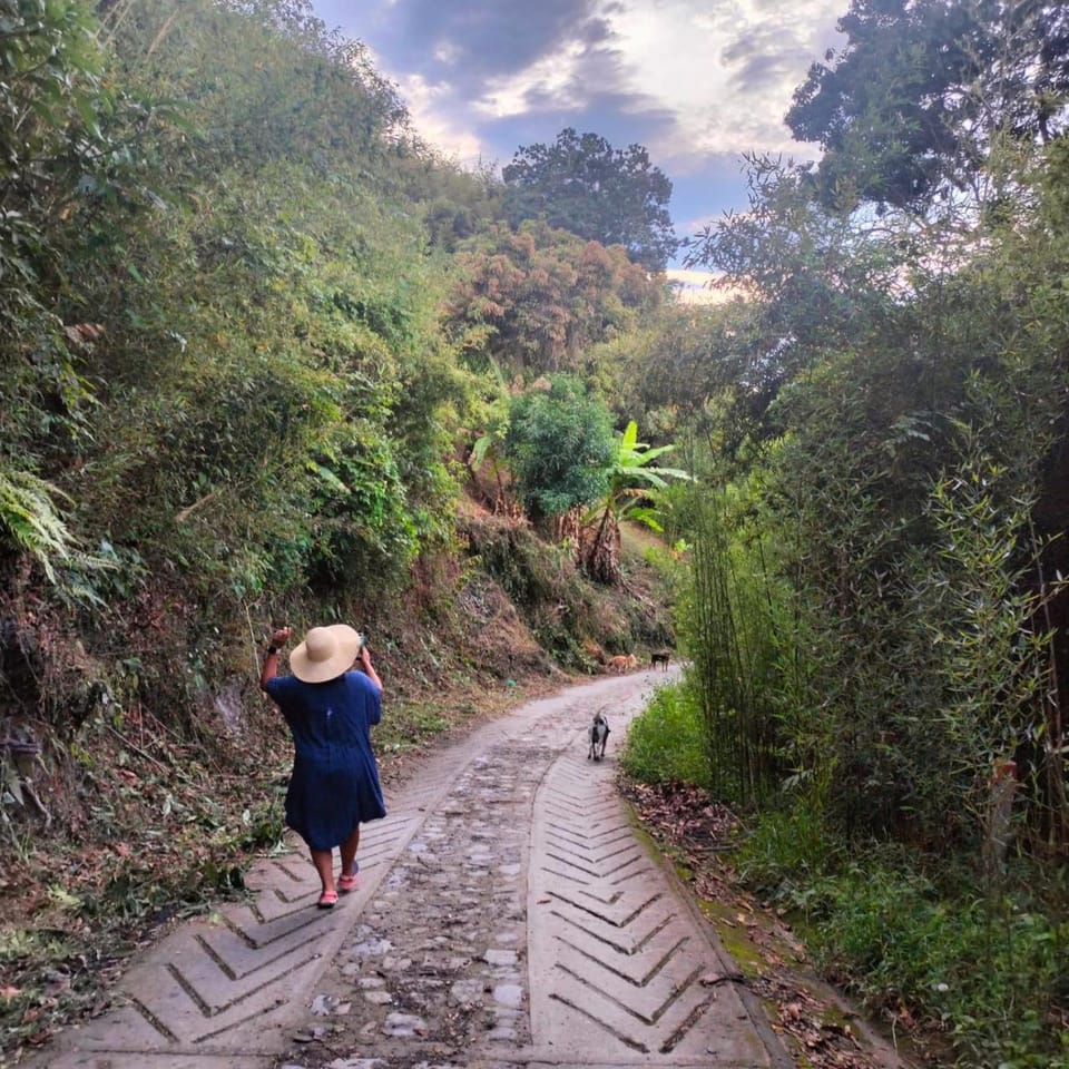 Natural landscape, Hiking, Hiking