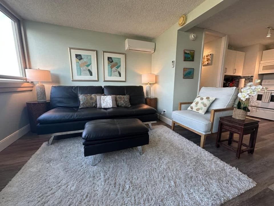 Living room, Seating area, air conditioner