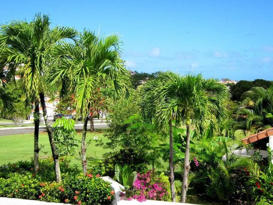 View (from property/room)
