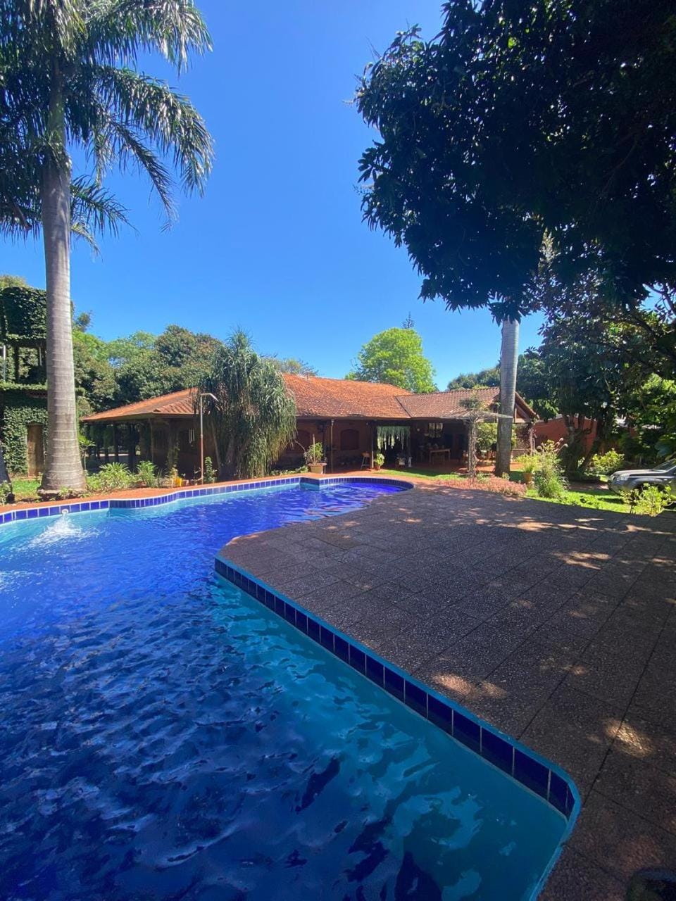 Day, Pool view, Swimming pool