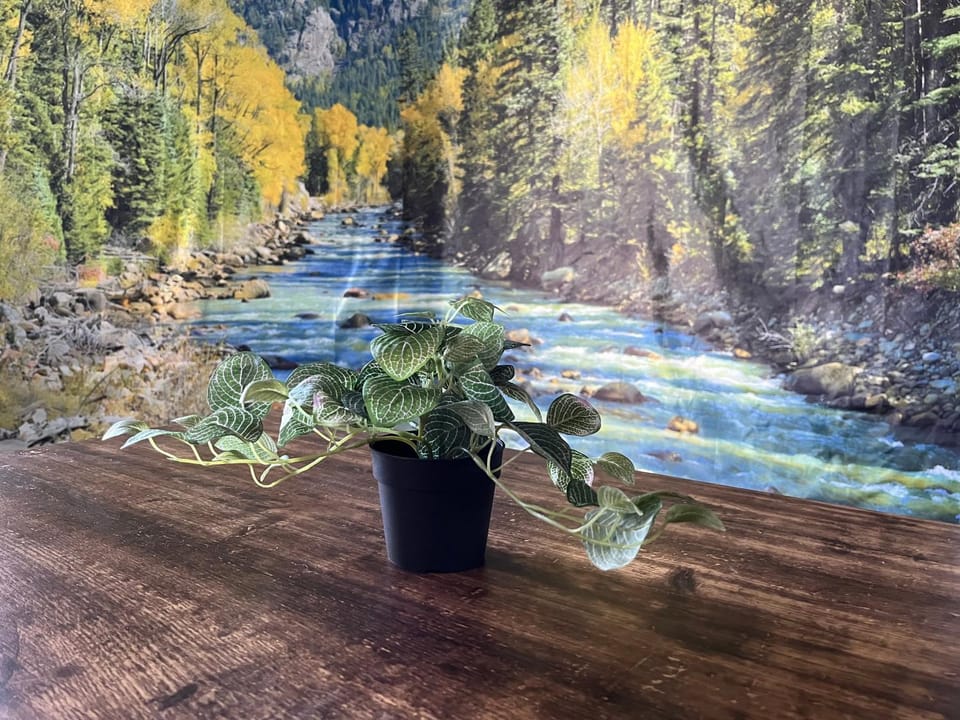 Natural landscape, Dining area