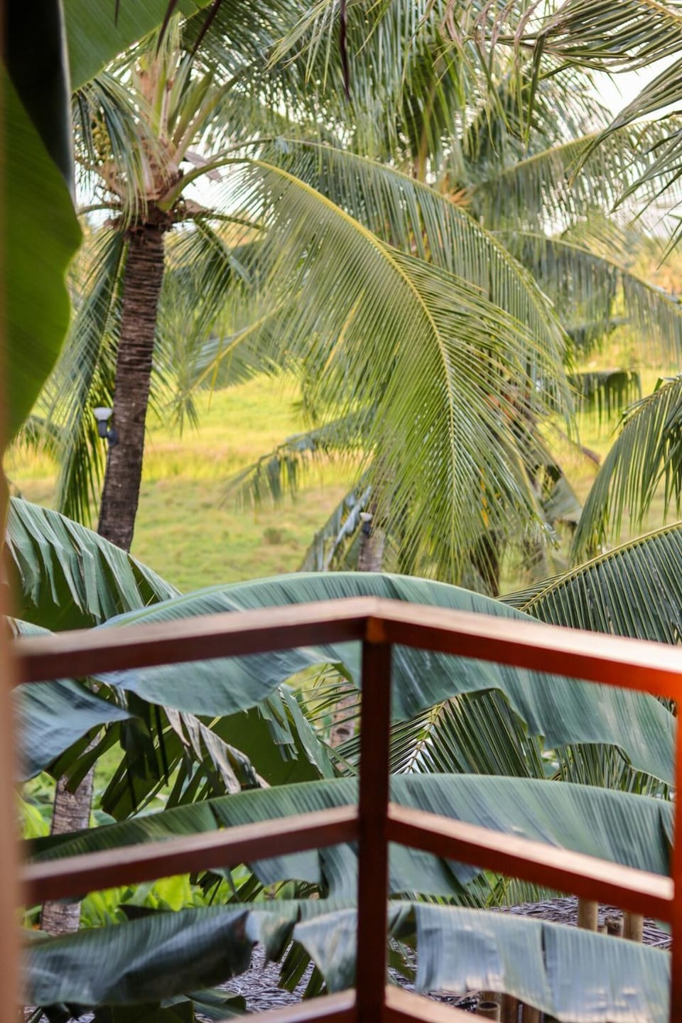 Lusty Glaze Villa Siargao House in General Luna
