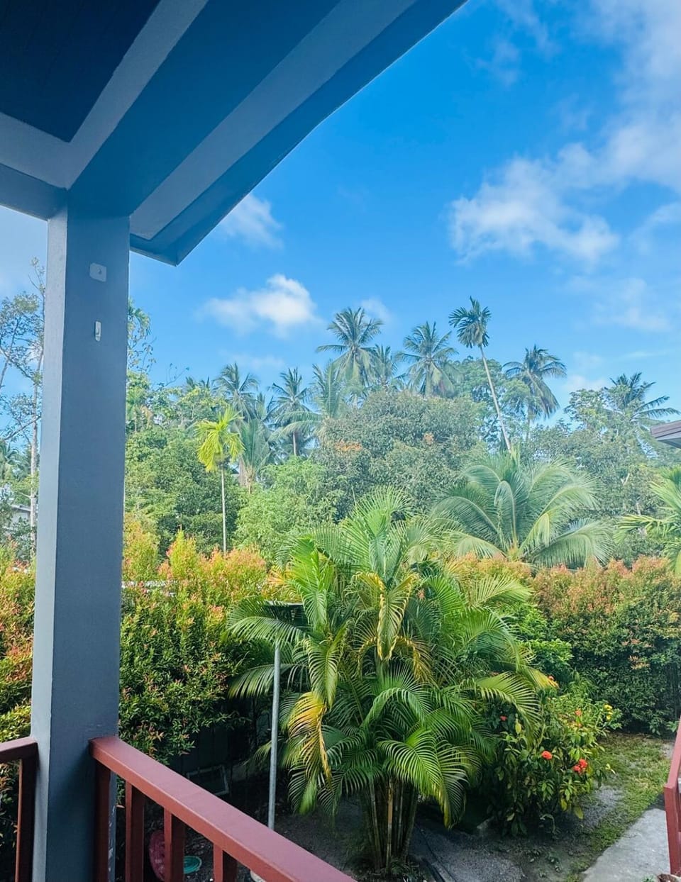 View (from property/room)