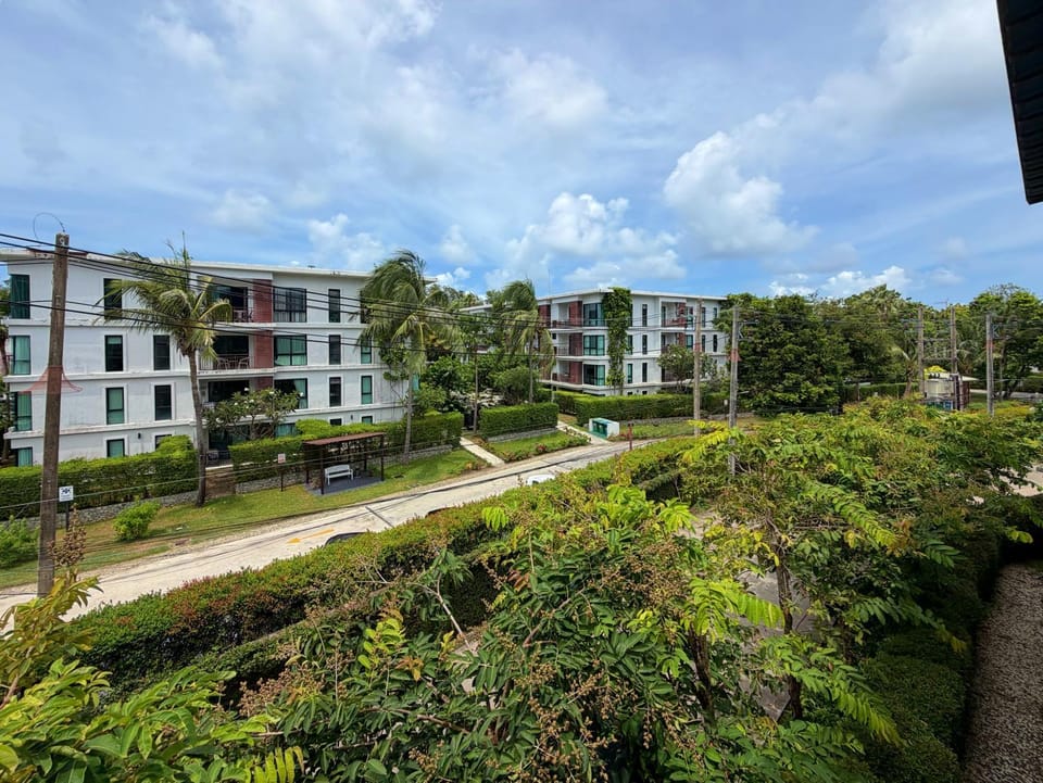 Day, Garden view, Street view