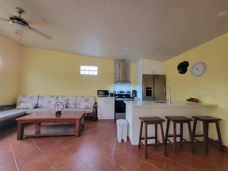 Kitchen or kitchenette, Living room, oven, pet friendly, stove