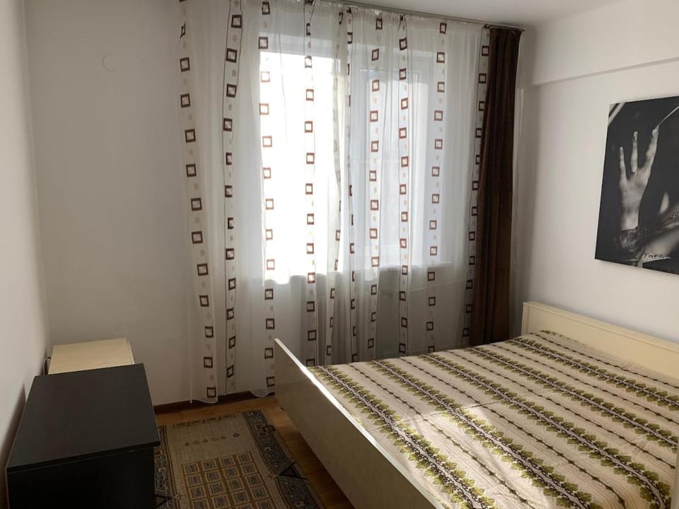 Old Center Apartment Apartment in Craiova