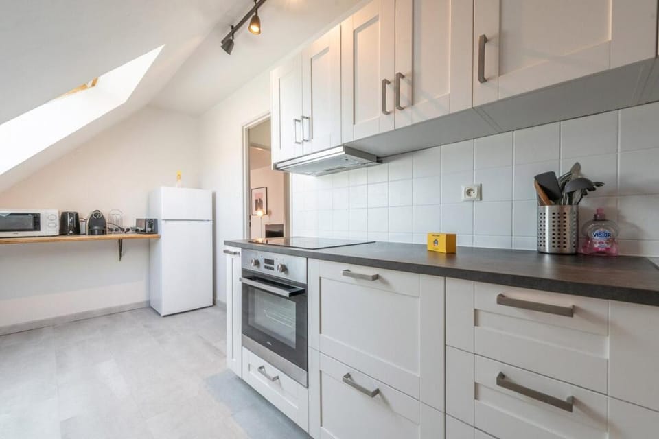 Bel appartement au centre Colmar stationnement Apartment in Colmar