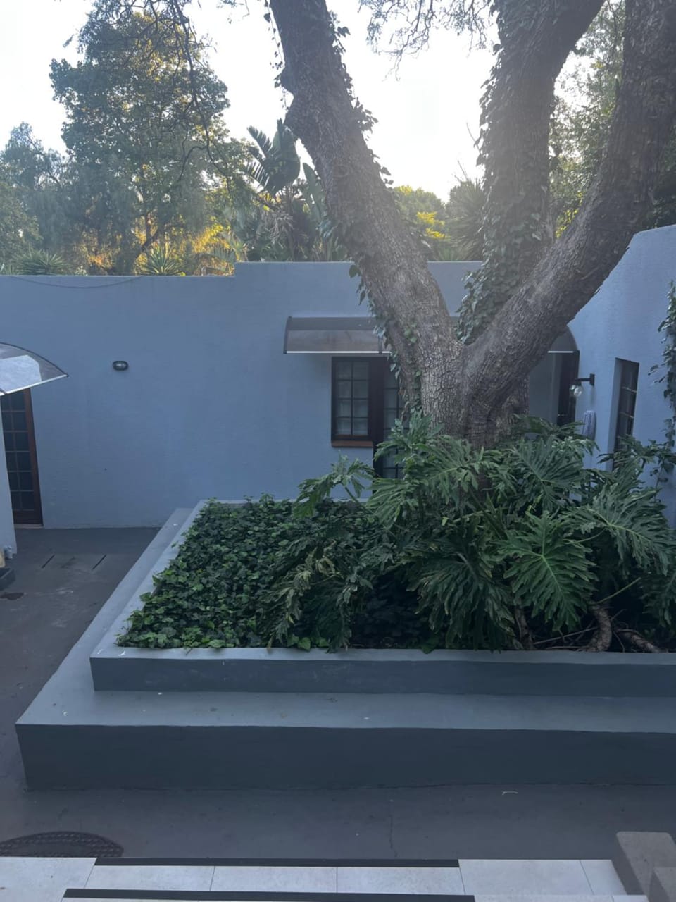 Melville Koppies View Guest house House in Johannesburg