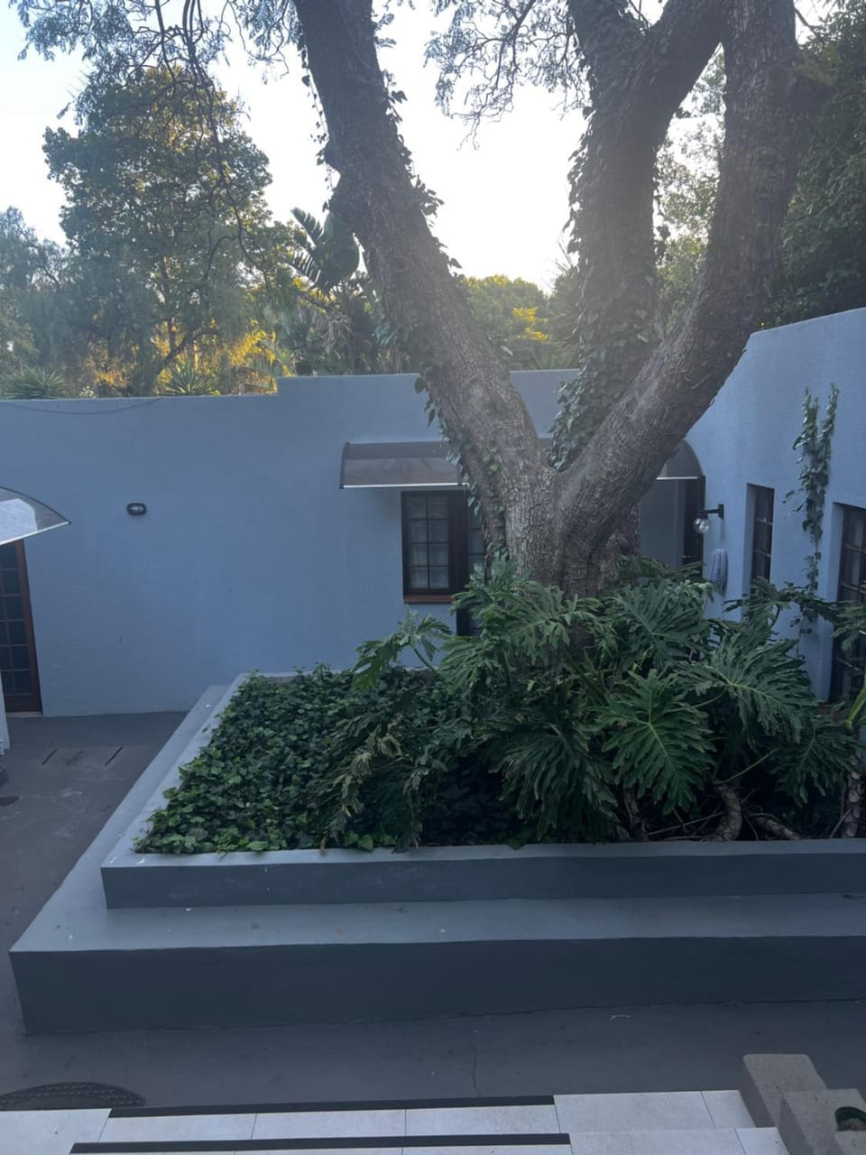 Melville Koppies View Guest house House in Johannesburg