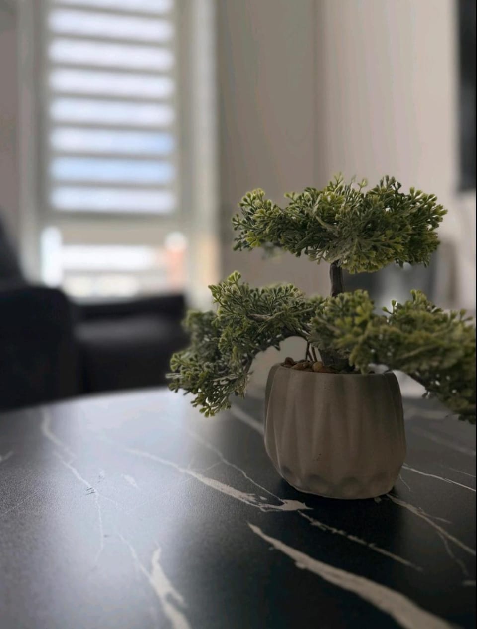 GLAVNA LuX Apartment in Serbia