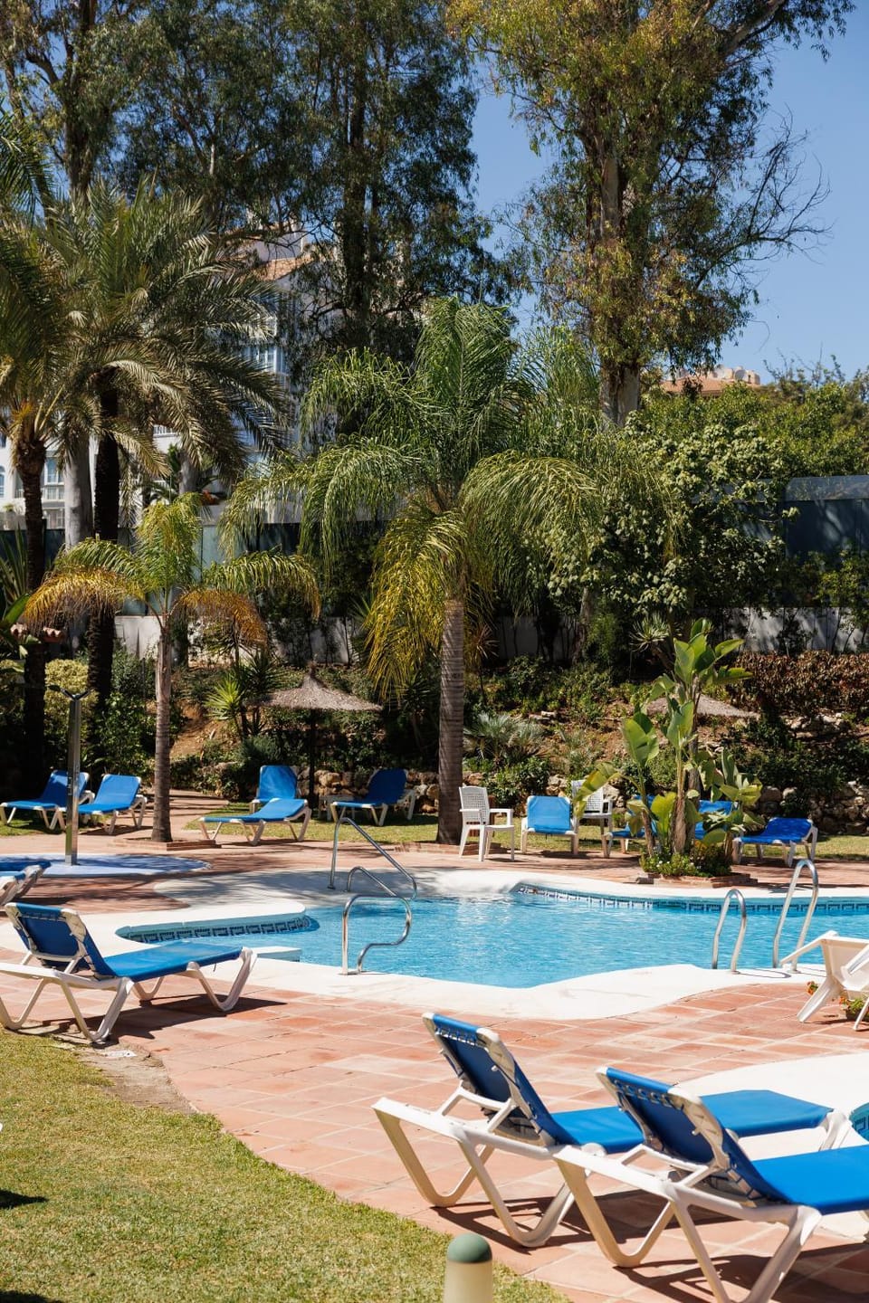 Natural landscape, Garden, Swimming pool
