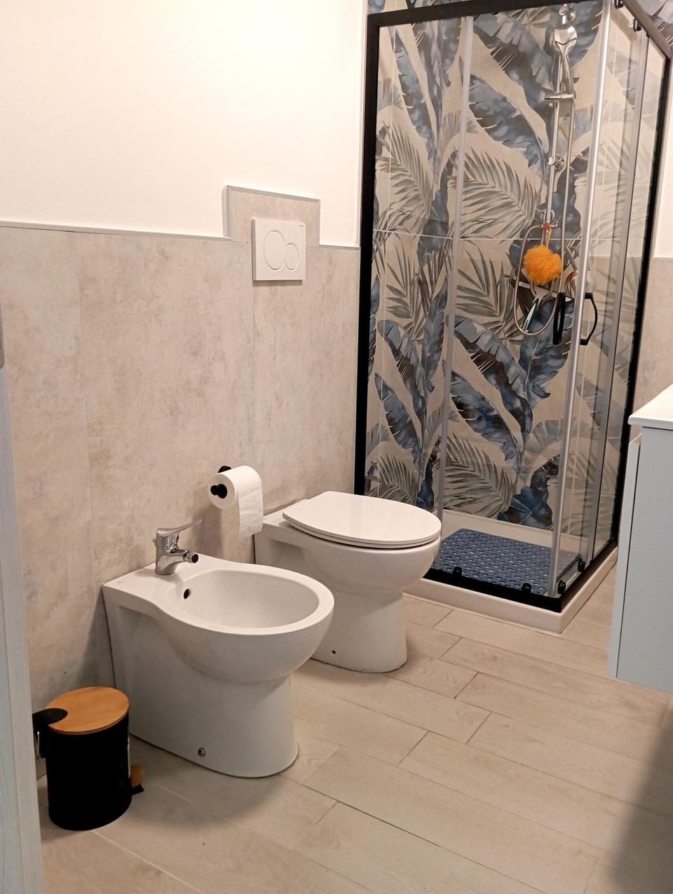 Bathroom, Living room