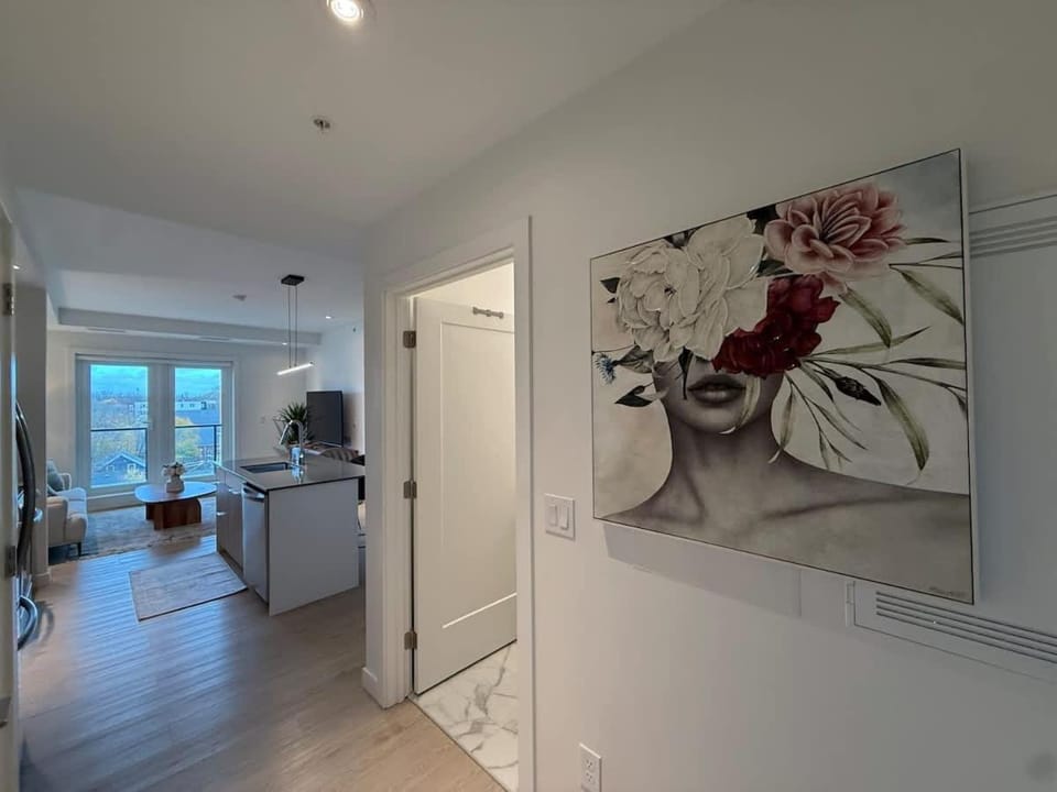 Bright warm & cozy 1 BR in North End Halifax Apartment in Dartmouth