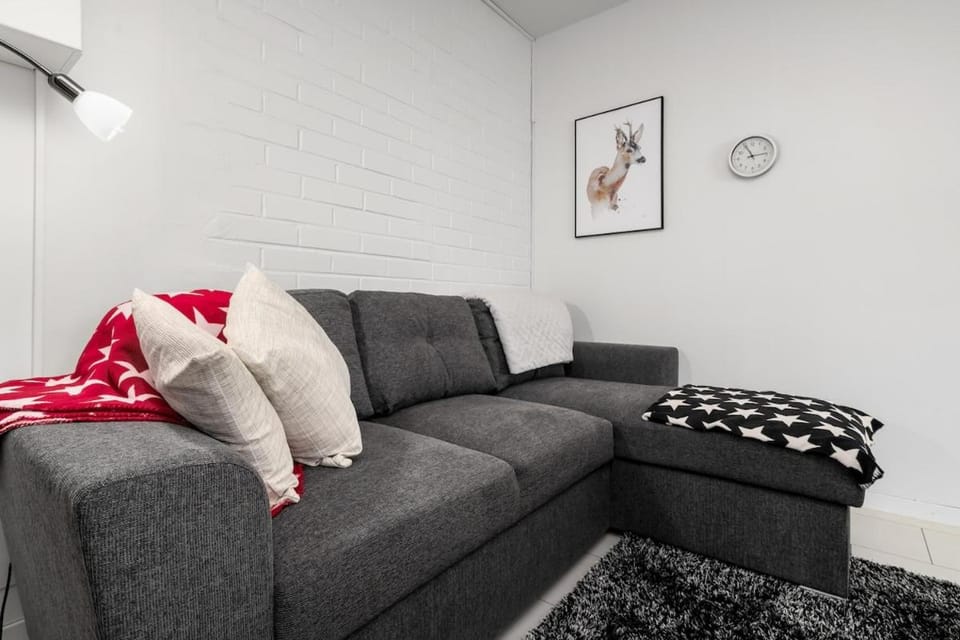 Polar City Apartment - Sauna and Parking Apartment in Rovaniemi