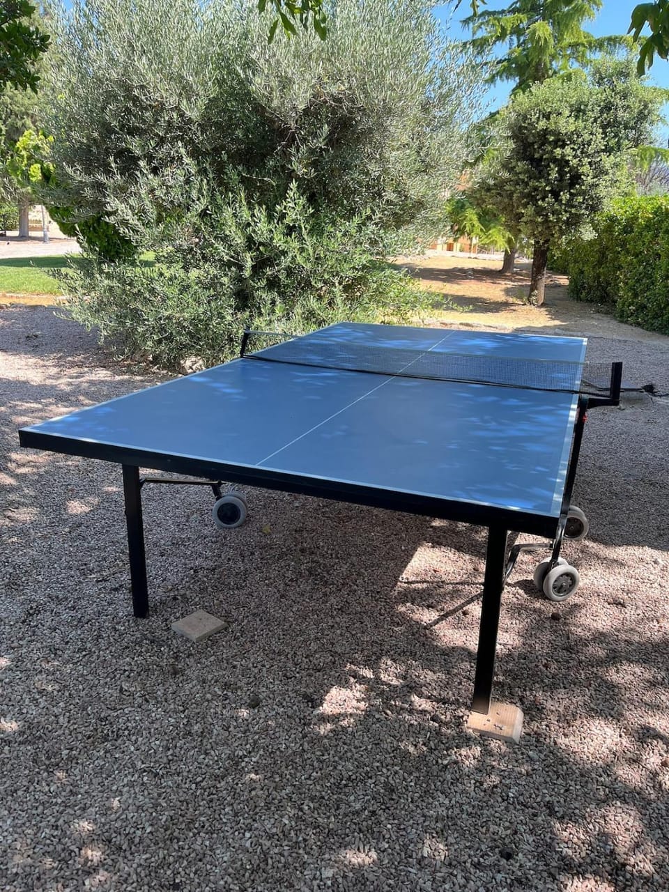 Table tennis