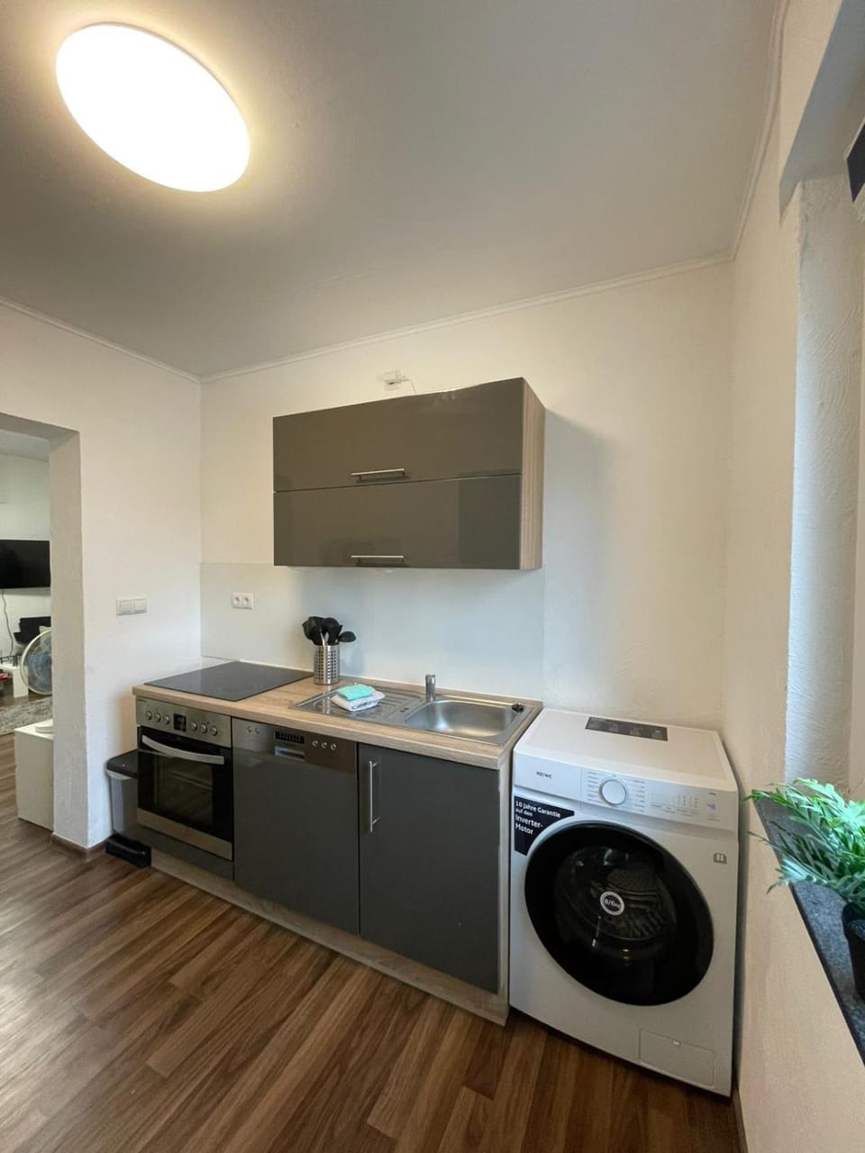 Kitchen or kitchenette, dishwasher, oven, washing machine, washing machine, kitchen, kitchen