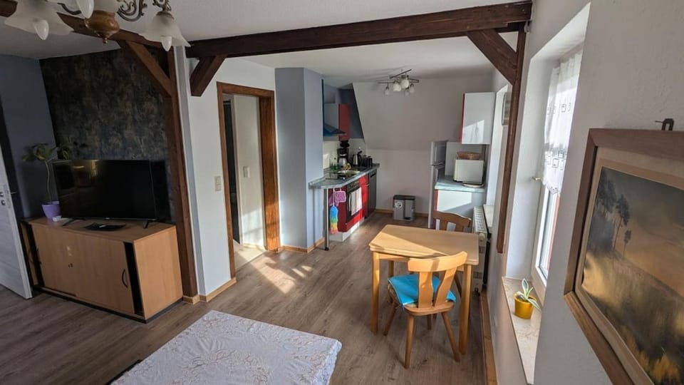 TV and multimedia, Kitchen or kitchenette, Photo of the whole room, Dining area, Evening entertainment